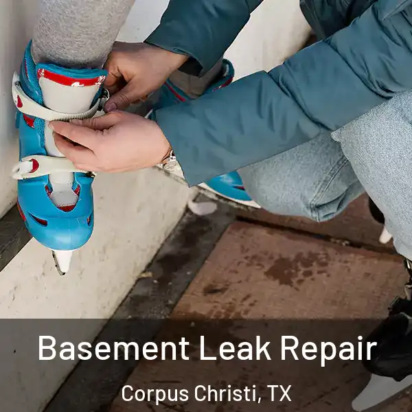  Basement Leak Repair Corpus Christi, TX