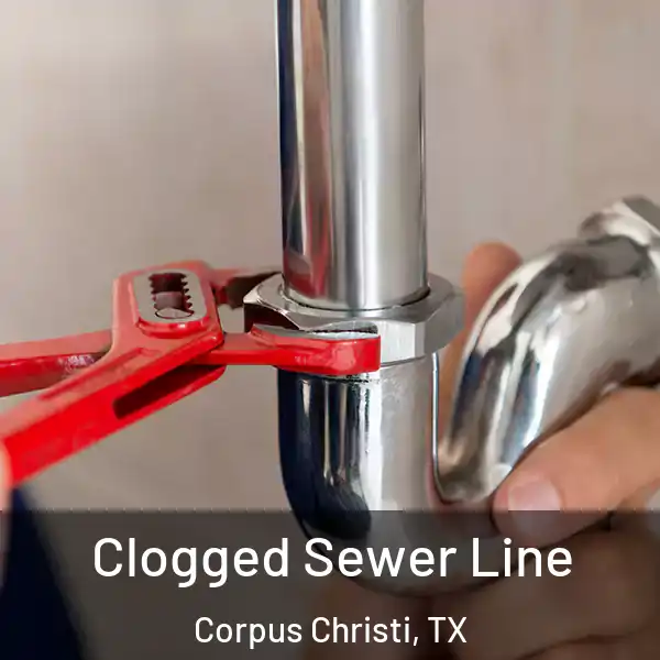  Clogged Sewer Line Corpus Christi, TX