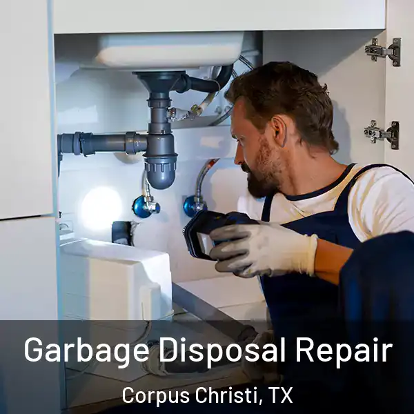  Garbage Disposal Repair Corpus Christi, TX