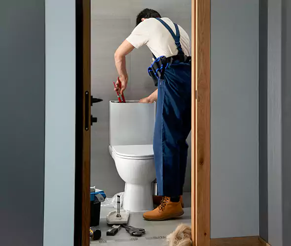 Professional Plumbers for Toilet Bowl Replacement in Dallas, TX: Schedule Affordable Toilet Replacement Services With Us