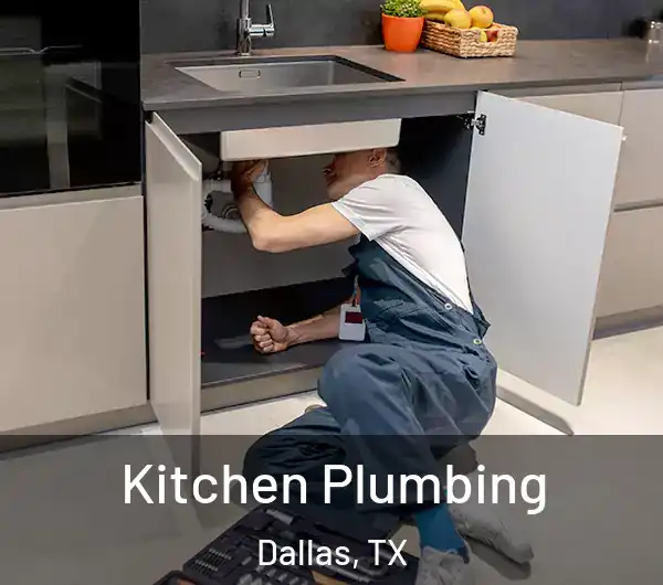  Kitchen Plumbing Dallas, TX