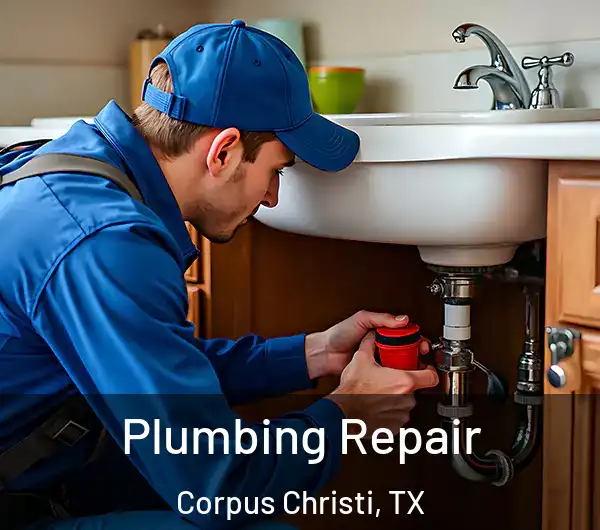  Plumbing Repair Corpus Christi, TX