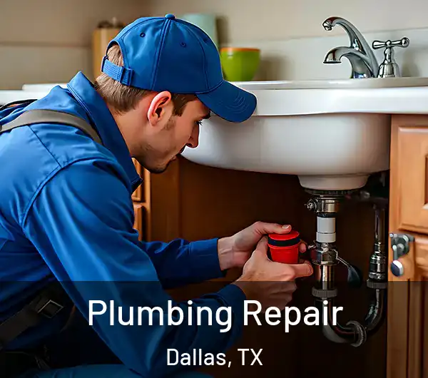  Plumbing Repair Dallas, TX