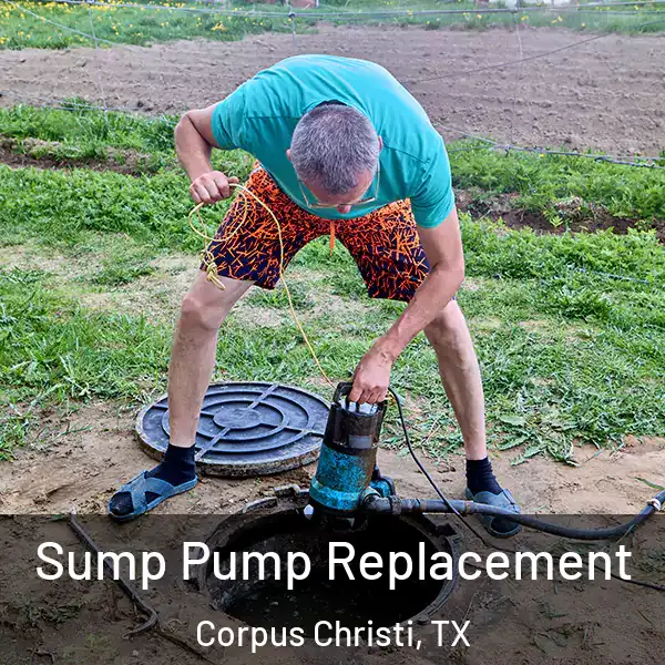  Sump Pump Replacement Corpus Christi, TX