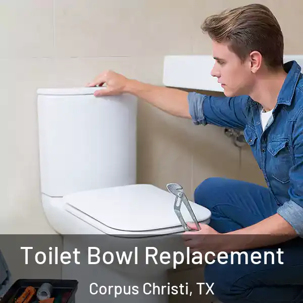  Toilet Bowl Replacement Corpus Christi, TX