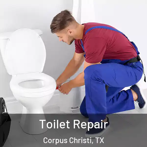  Toilet Repair Corpus Christi, TX
