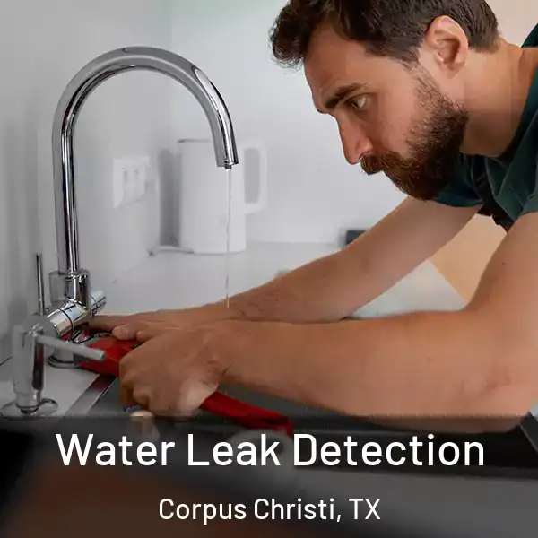  Water Leak Detection Corpus Christi, TX