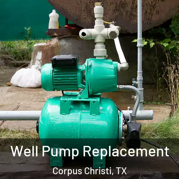 Well Pump Replacement Corpus Christi, TX